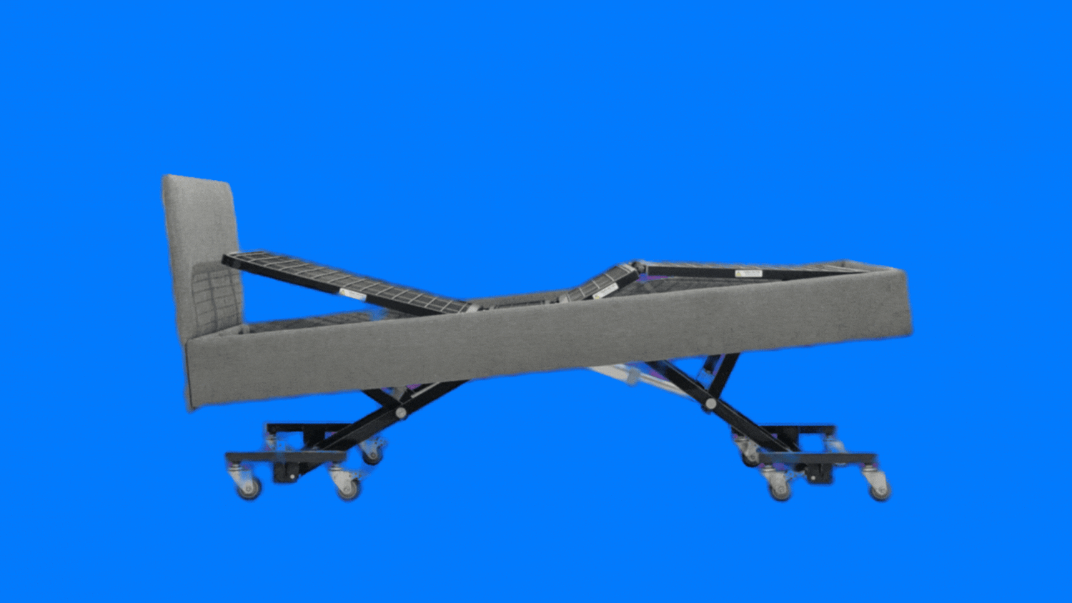 Trendelenburg & Anti-Trendelenburg function