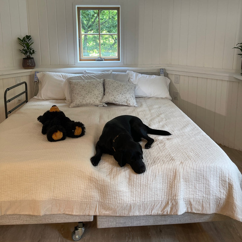 Elizabeth Hudson (IC333 Dual King Bed)