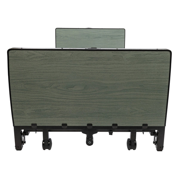 Full Electric Low Hospital Bed for Home Care | 9" - 23" | Proactive Protekt Akra-FE Black Vein