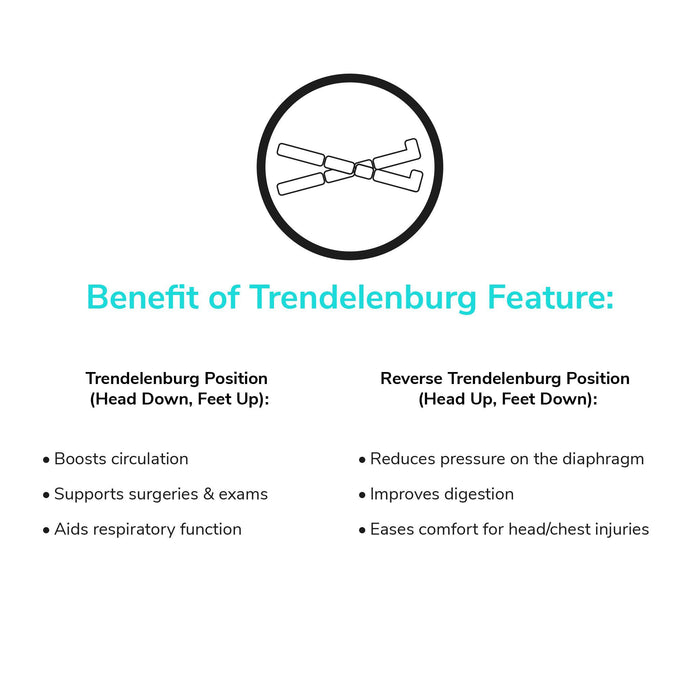 Trendelenburg Costcare Adjustable Medical Bed B337