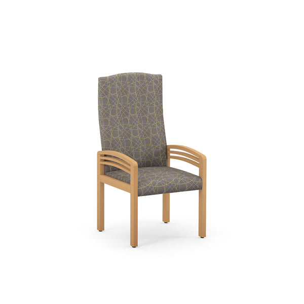 High Back Patient/Guest Triarc Armchair | HPFi Trados 915